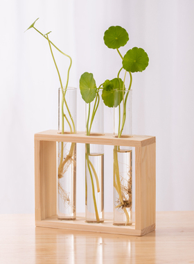 水培花瓶试管水养绿植插花植物容器木架摆件台面装饰玻璃花器