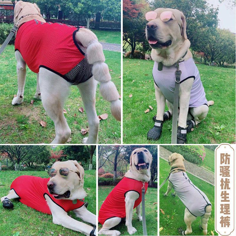 狗狗姨妈裤生理裤大型犬拉布拉多防骚扰狗狗生理期安全裤宠物用品