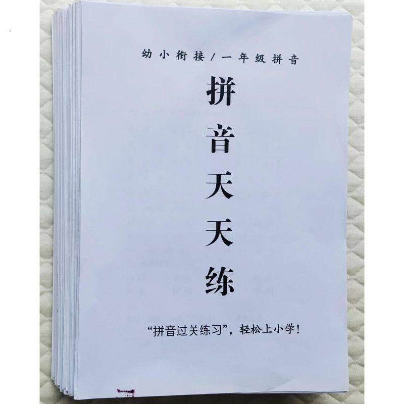 2025新版幼升小暑假预习复习基础语文拼音天天练拼音每日一练