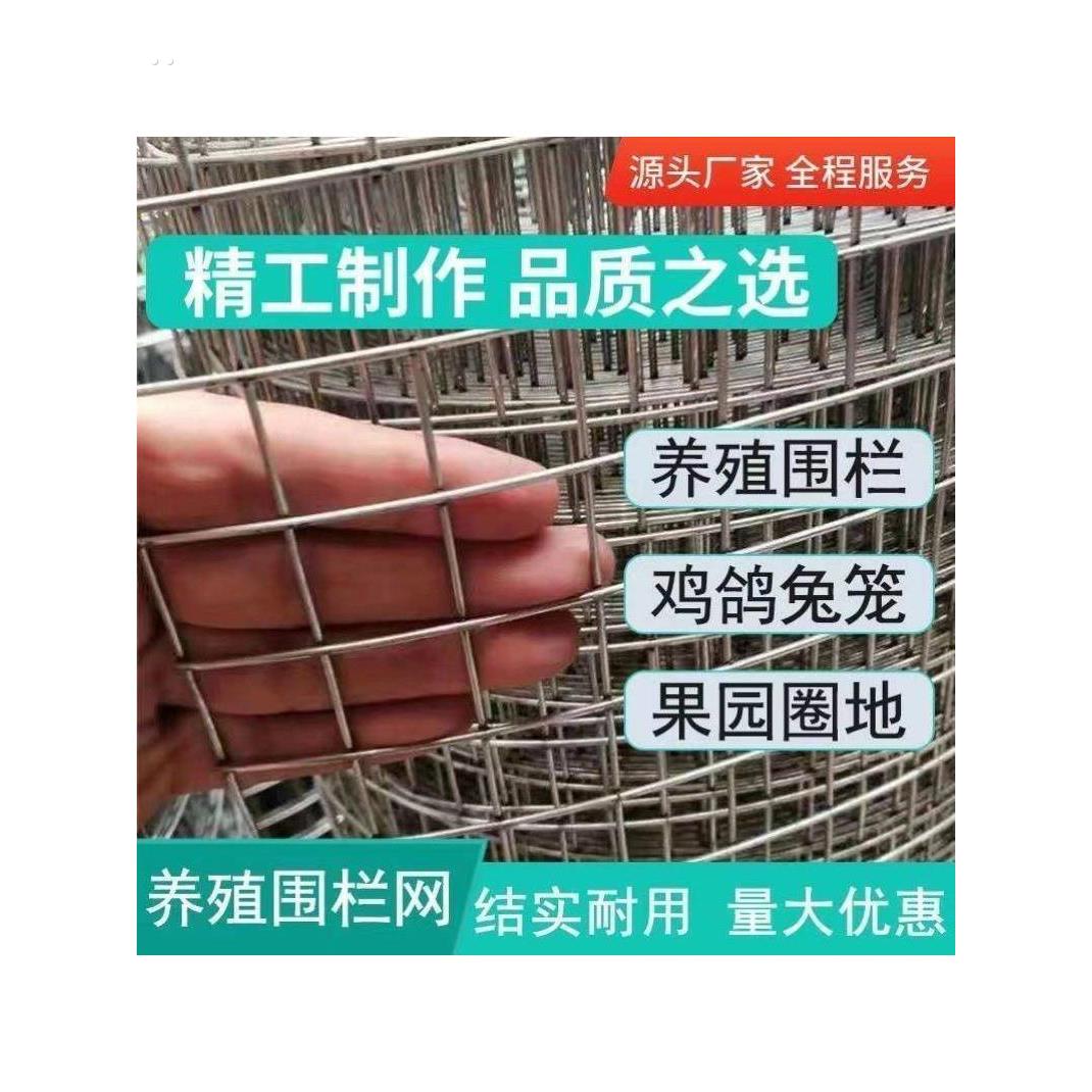 热镀锌铁丝网围栏网养殖网钢丝网拦鸡网建筑网防护网铁网格玉米网