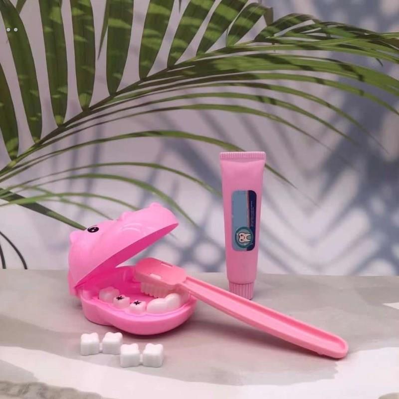 假牙齿道具牙齿模型幼儿园假牙玩具牙齿模型玩具儿童刷牙玩具全套