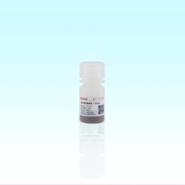 Beaver海狸Strep-tagⅡ蛋白纯化磁珠71301-20 20mL,50mg/mL