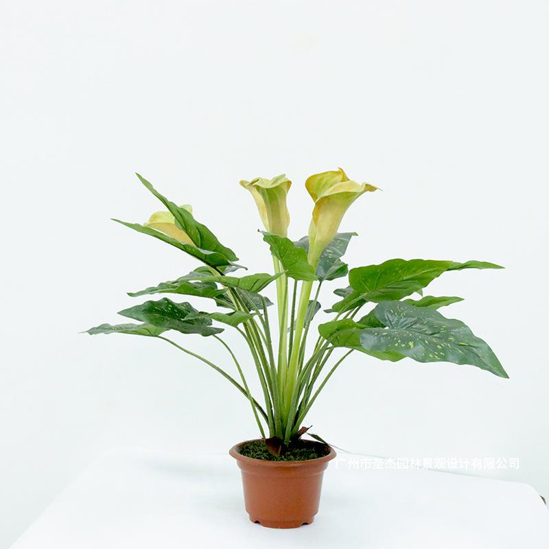 仿真马蹄莲盆栽中式年货客厅阳台摆设假花绿色盆栽仿真植物