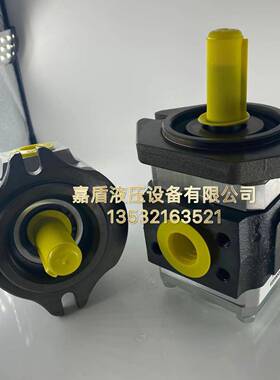 德国艾可勒/艾可乐齿轮泵ECKERLE/EIPC6-125RA23-10注塑机油泵