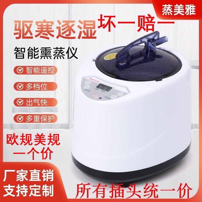 熏蒸仪4L大容量熏蒸机汗蒸箱发汗养生汗蒸机桑拿浴箱蒸汽锅理疗
