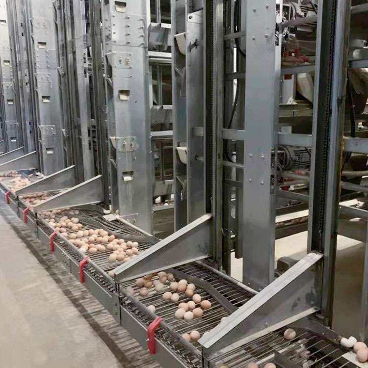 养鸡设备自动清粪机喂料机捡蛋机鸡笼环控系统全鸡用全自动