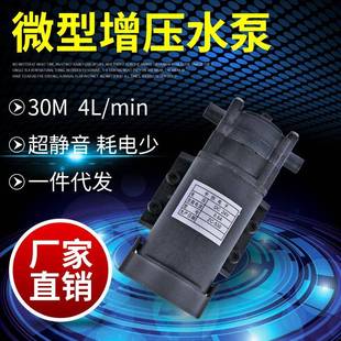 24v热水循环泵塑料水泵耐腐微型齿轮泵耐高温直流自吸泵罐装 泵