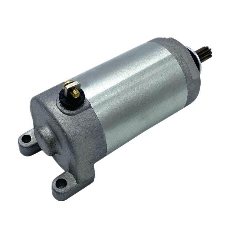 3C5-81890-00-00起动电机YFM250250SE196392008-2013