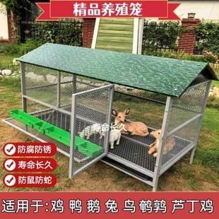 尖顶养殖笼鸡鸭兔笼防黄鼠狼防鼠蛇不生锈户外养鸡棚养鸡笼子家用