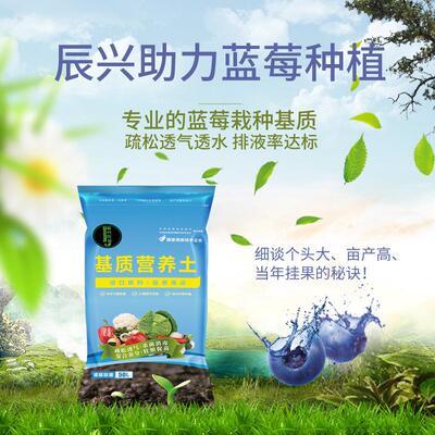 蓝莓专用栽培基质大棚盆栽种植杜鹃花科越橘属土壤弱酸性营养土