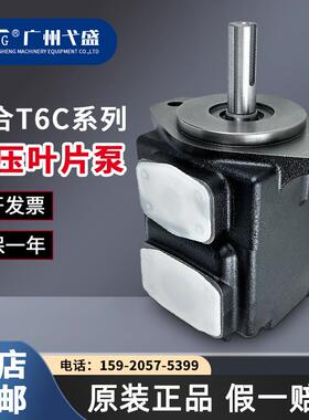 T6C-014-1R01-A1/B1/C1系列高效高压叶片泵定量液压油泵注塑机