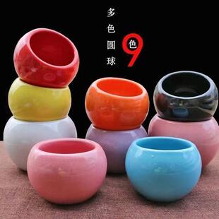 多肉陶瓷圆球盆【口径6cm】简约迷你白瓷彩瓷盆室内花卉盆栽花盆