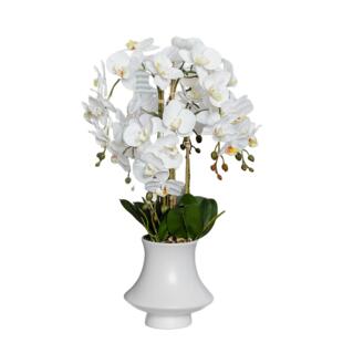 蝴蝶兰盆栽仿真花3D打印胶片兰花客厅四季盆景摆件带花发货