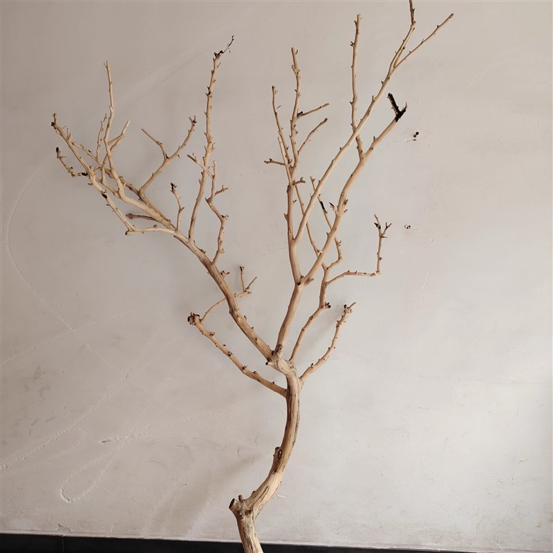 吊灯干枝分枝干树枝装饰树干枯枝室内天花板挂灯插花挂件舞台摆件