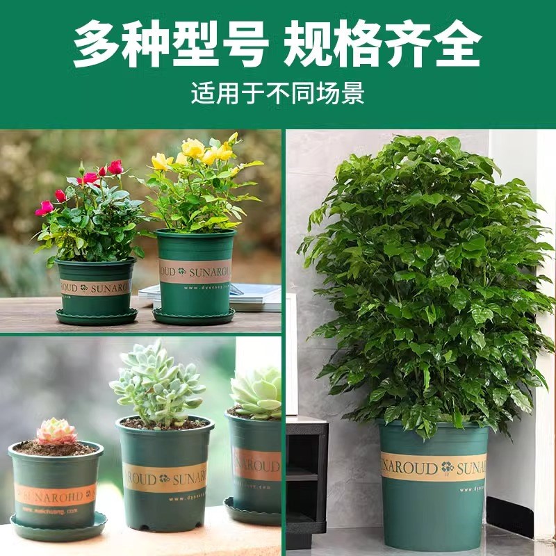 花盆盆家用塑料加厚阳台盆景多肉加仑盆绿萝盆栽月季草莓