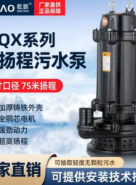 WQX高扬程工程泵污水泵380V潜水排污泵农田灌溉抽水泵立式潜水泵