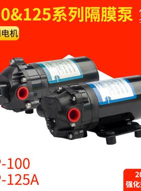 DP-10024V微型水泵隔膜泵高压喷雾泵电动隔膜泵