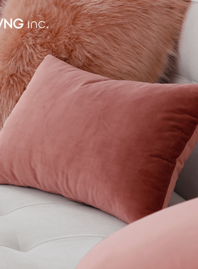 LIVING inc豆沙粉天鹅绒 沙发抱枕ins风公主少女靠垫床上飘窗靠枕