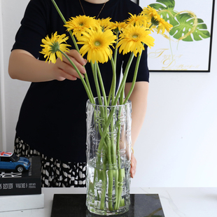 特大号客厅落f地玻璃花瓶摆件水培转运竹富贵竹透明40cm高50CM插