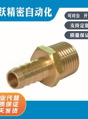 XZT01-6-02 XZT01-9-03 XZT01-12-04 01-19-06 01-25-08 全铜接头