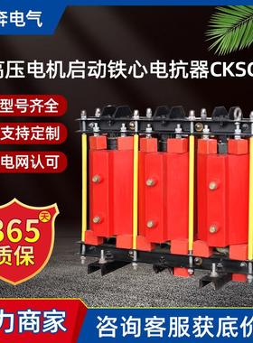 高压电机启动铁心电抗器315KWQ/CKSC-480/10-6%5.46Ω6-10-12KV