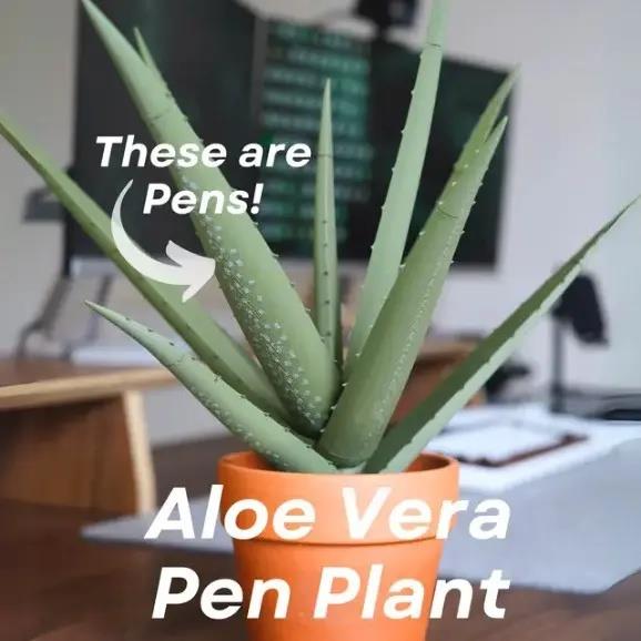 3D打印芦荟仿真盆栽笔芯barbados aloe