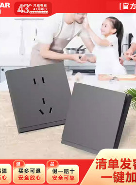 鸿雁开关插座X9卓悦灰色一二三开联双控斜五孔二三插16A电脑网络