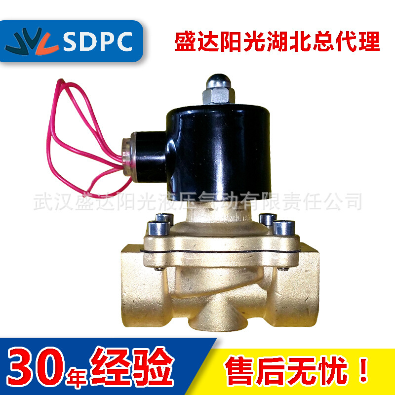 SDPC盛达阳光2W160-15电磁水阀2W200-20常闭控制220V24V