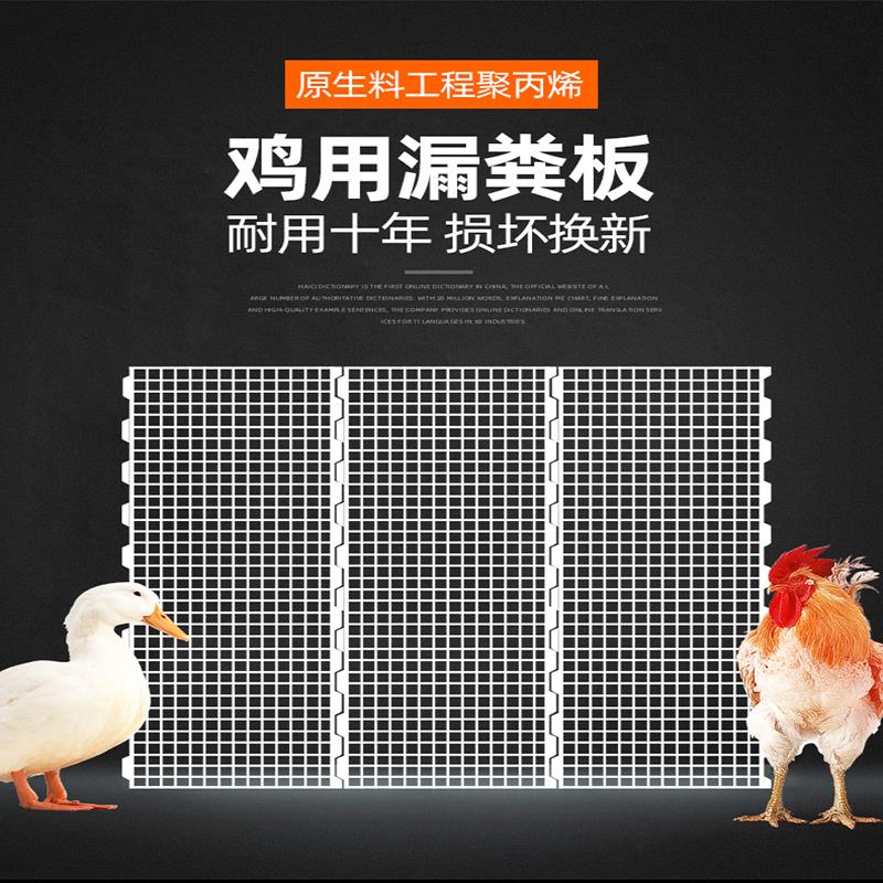 鸡用漏粪板鸡粪漏粪板雏鸡鸭鹅用加厚塑料接粪板禽用鸡舍养殖设备