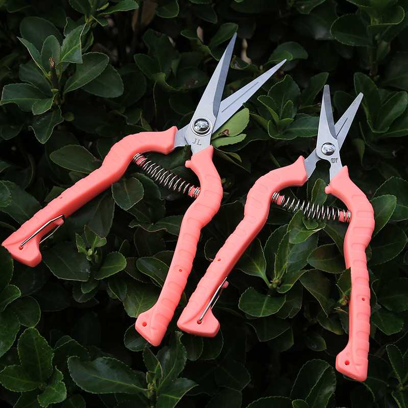 新款直销果园摘果剪水果采摘剪稀果剪蔬果剪瓜果采摘神器园艺园林