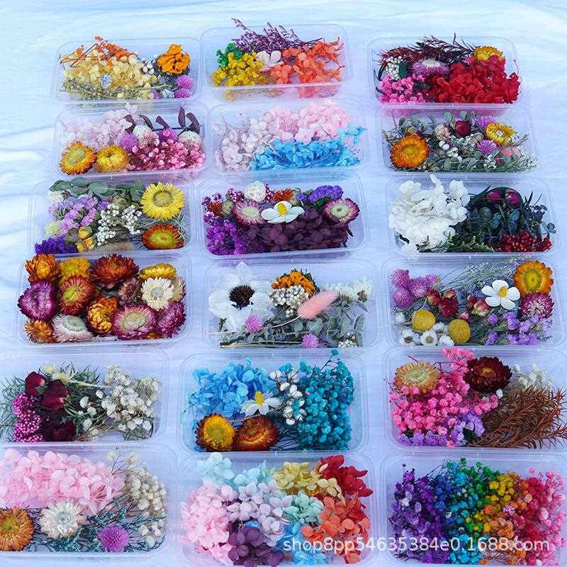 新款直销干花永生花材料包满天星绣球尤加利干花装饰摆件相框挂饰