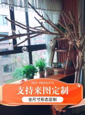 白色仿真树树杈枯树枝商场装饰树干天然实木树枝条室内许愿枯树