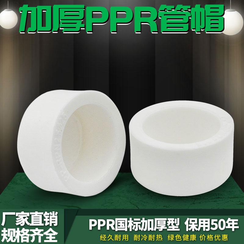 PPR水管管帽试压堵头闷头20 4分25 6分32 1寸ppr水管管件配件