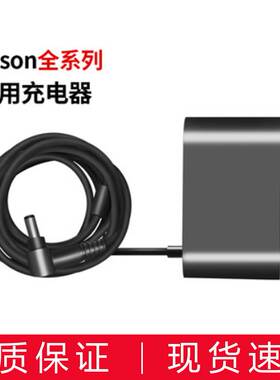 新灰色变灯适用于戴森充电器电源适配器Dyson无线吸尘器V6 V7 V8