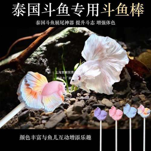 泰国斗鱼逗鱼棒训练笔互动新款设计斗斗更健康半月将军逗鱼玩
