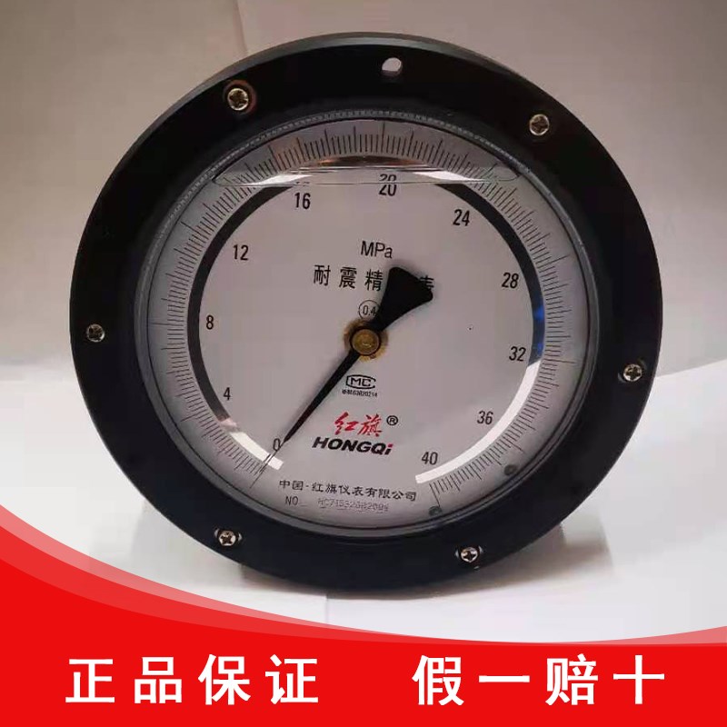 红旗仪表厂家直销 YNB-150ZT 轴向带前边抗震精密压力表 正品保证