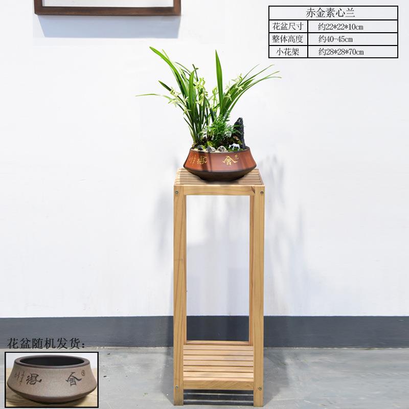 H建兰素心兰盆栽兰花苗植物室内花盆景室内办公桌面组合观赏绿植