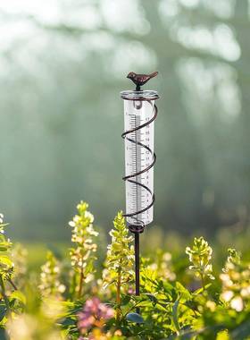 铸铁鸟挂式雨量计带金属框架的雨水计测量室外花园草坪花园装饰