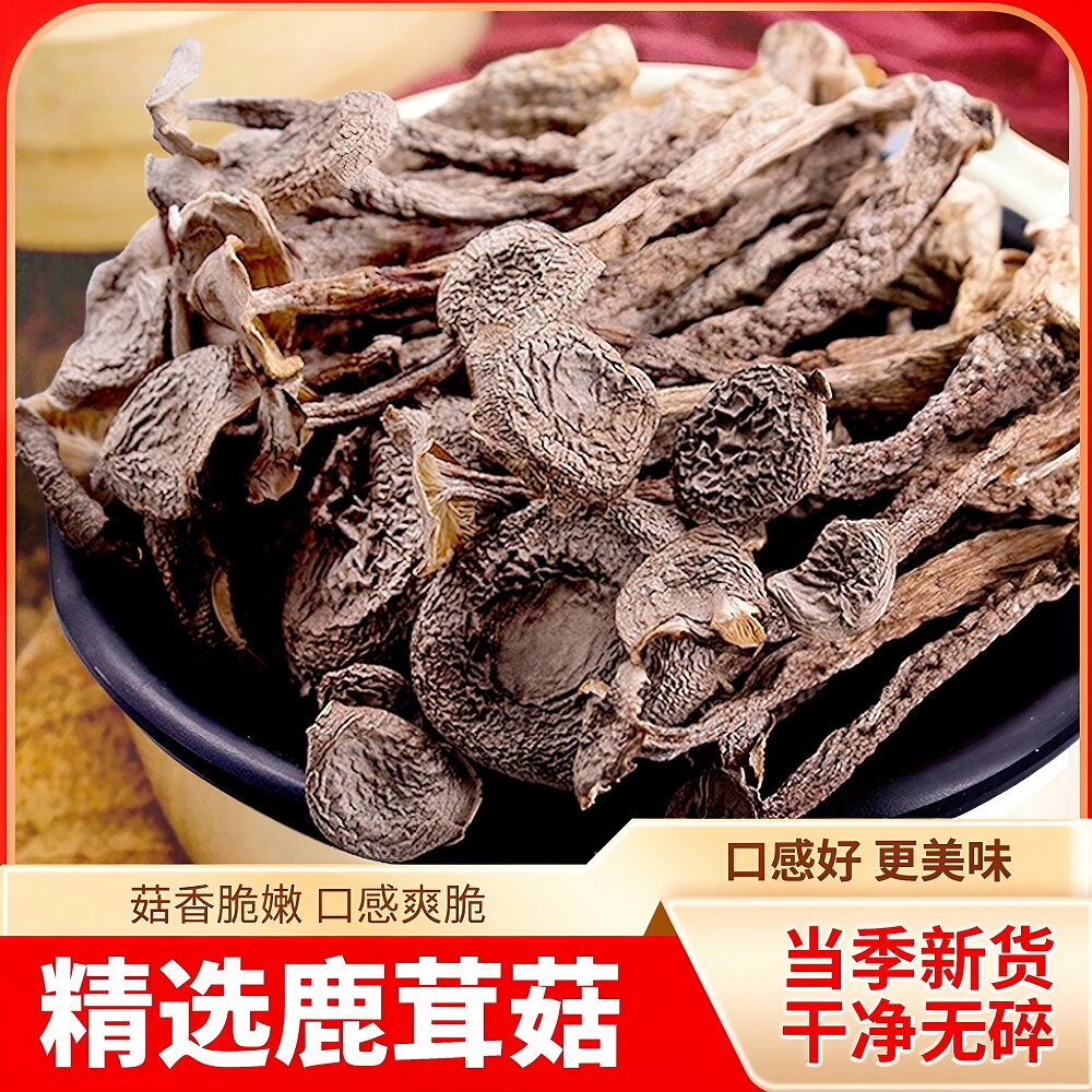 新货鹿茸菇干货鹿耳菇菌菇新鲜酒店饭店专用家用炒菜煲汤新鲜美味