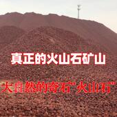 天然火山石滤材池塘鱼缸培菌大号大块锦鲤鱼池过滤水族箱造景铺底