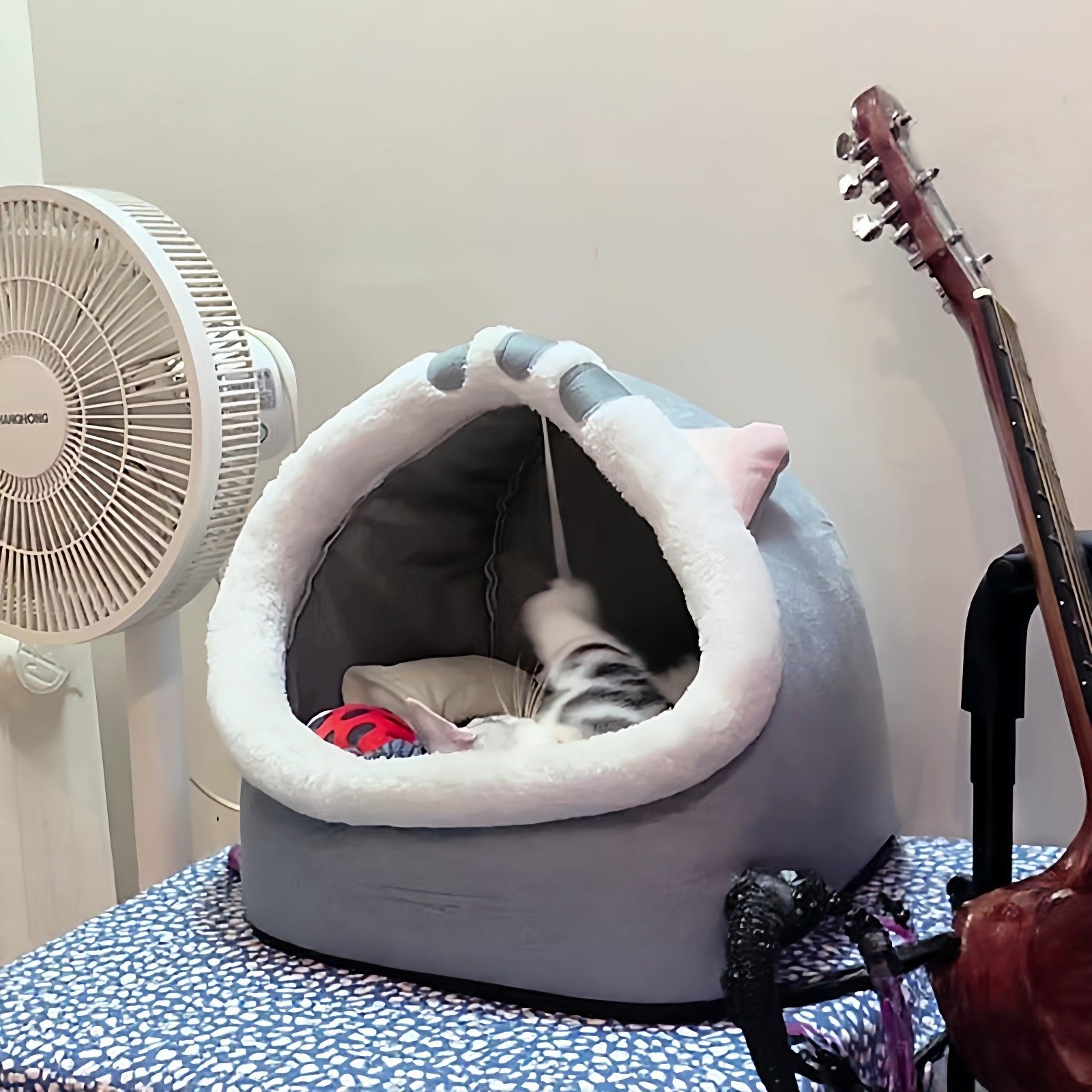 【毛孩子也是孩子】半封闭式猫别墅耐脏可拆洗四季通用款宠物睡袋,宠物/宠物食品及用品,猫窝/屋/帐篷/沙发,淘宝优惠券,粉丝福利购,淘宝优惠卷