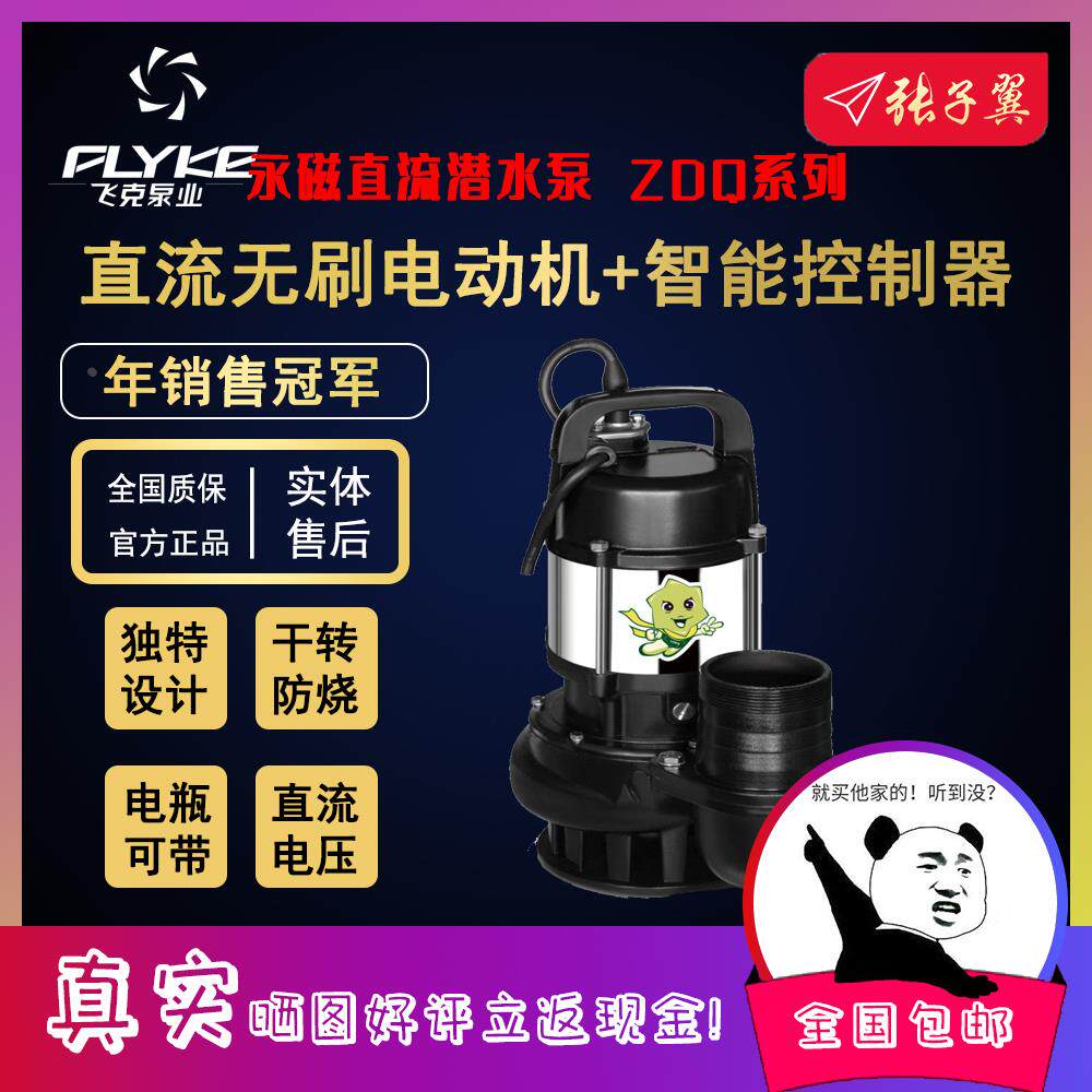 【奥冠迪】飞克ZDQ-180-1微型小型抽水泵24V电瓶车永磁直流潜水泵