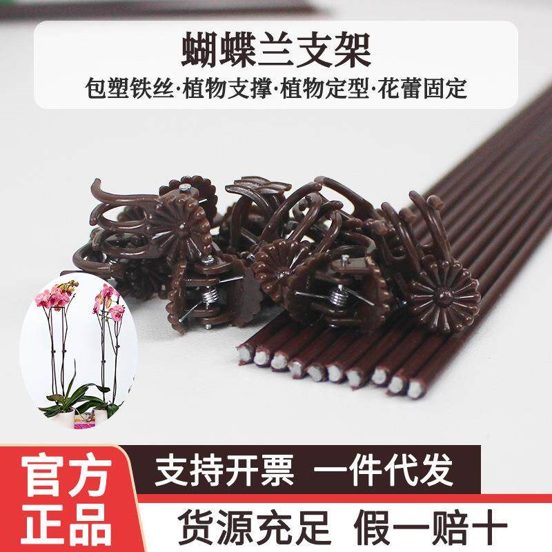速发蝴蝶兰支架支撑杆造型架子园艺花卉兰草花枝夹子蔓藤爬藤植物