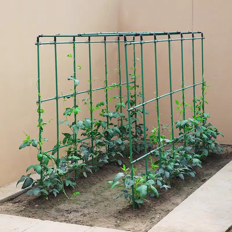 速发四季豆架杆黄瓜豆角蔬菜爬藤架种菜番茄西瓜支撑杆植物棚搭花