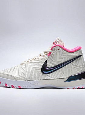 NIKE耐克男子LBJ NXXT GENISUS詹姆斯运动训练篮球鞋IB1271-100