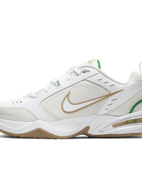 NIKE耐克男鞋Men s Air 运动训练跑步鞋415445-103