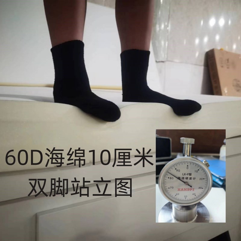 60D高密度海绵床垫家用单双人50D学生宿舍加厚软垫4W5D定制塌塌米