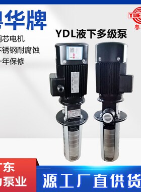 YDL5切削液不锈钢液下油循环管道粤华机床浸入式加压热水循环水泵