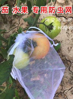 水果套袋果树防虫防鸟网袋草莓套袋专用保护袋无花果葡萄防虫神器