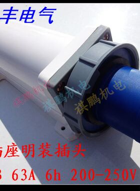 SFE上丰工业插头SF-533 63A 三极器具插座明装插头 三芯插头 IP67